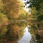 Couleurs de l'automne .