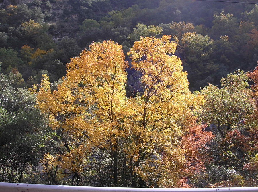 Couleurs de l'automne à Berga