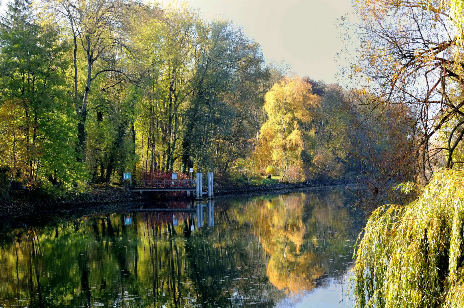 Couleurs de l'automne ...