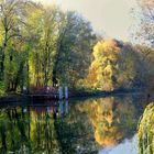 Couleurs de l'automne ...