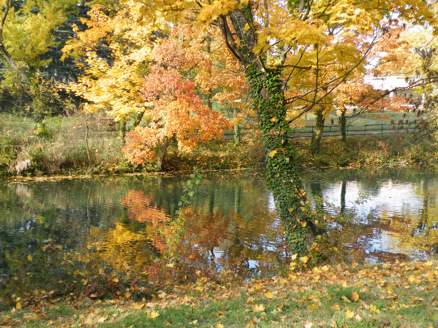 couleurs de l'automne