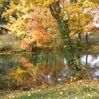 couleurs de l'automne