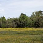 Couleurs de mai dans le haut-var