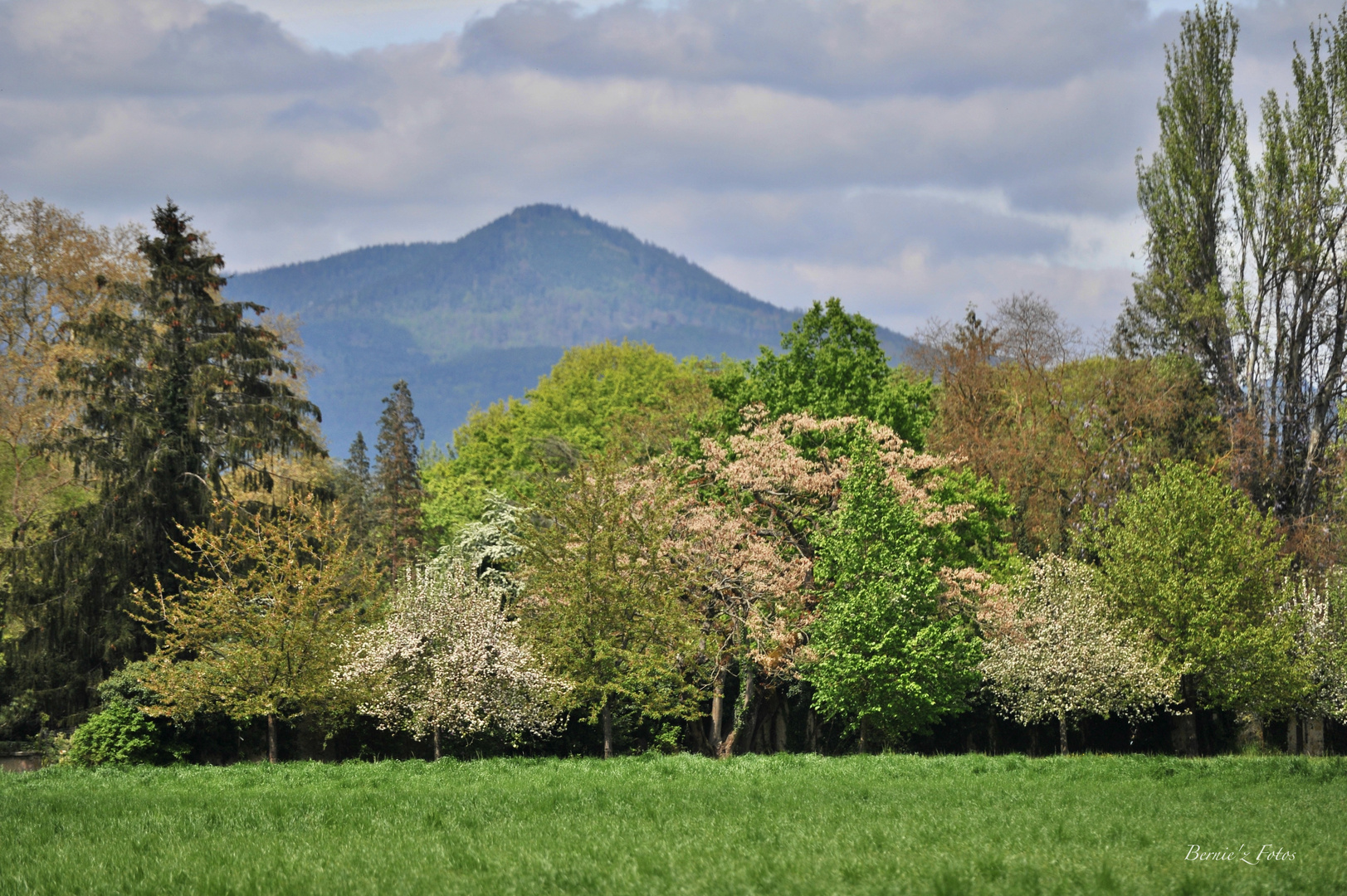 Couleurs de printemps