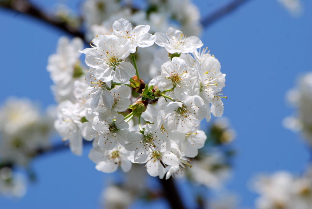 couleurs de printemps