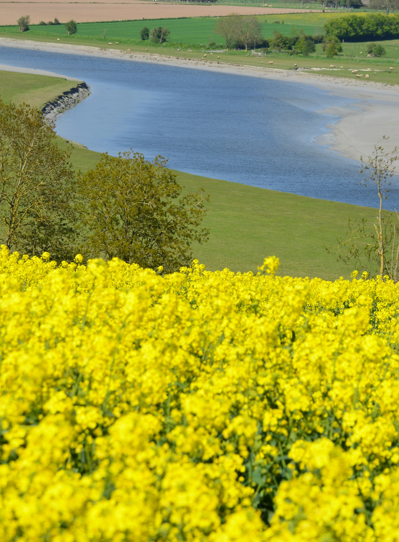 Couleurs de Printemps Sur La Sélune (50)