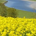 Couleurs de Printemps Sur La Sélune (50)