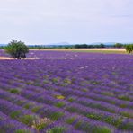 Couleurs de Provence