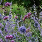 Couleurs de Villandry