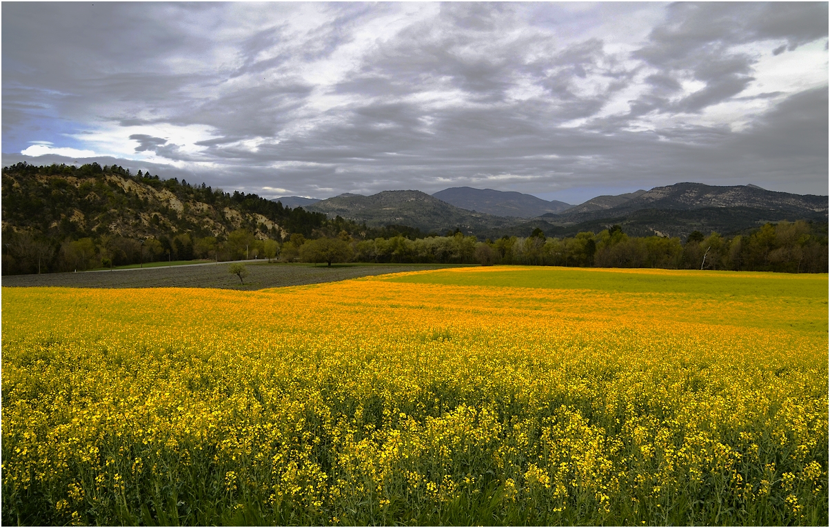 *couleurs des Alpes de Haute-Provence *