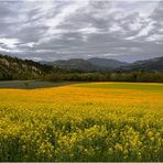 *couleurs des Alpes de Haute-Provence *