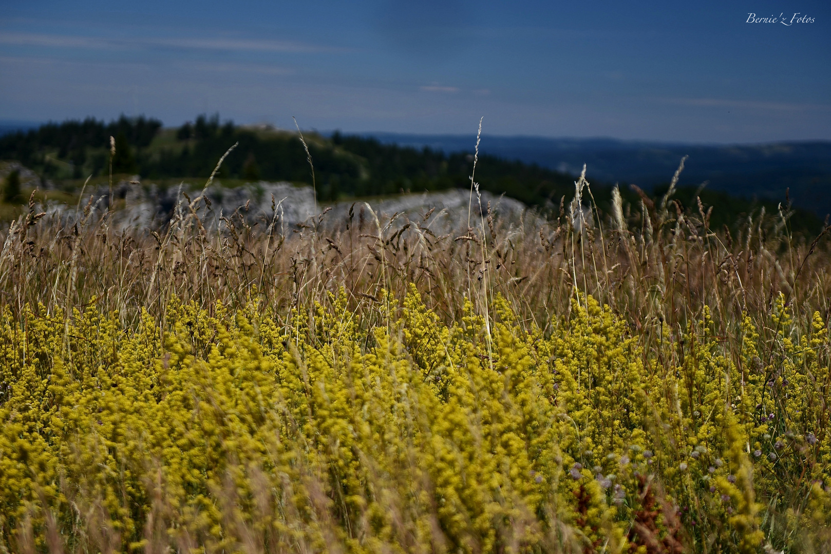 Couleurs d'été