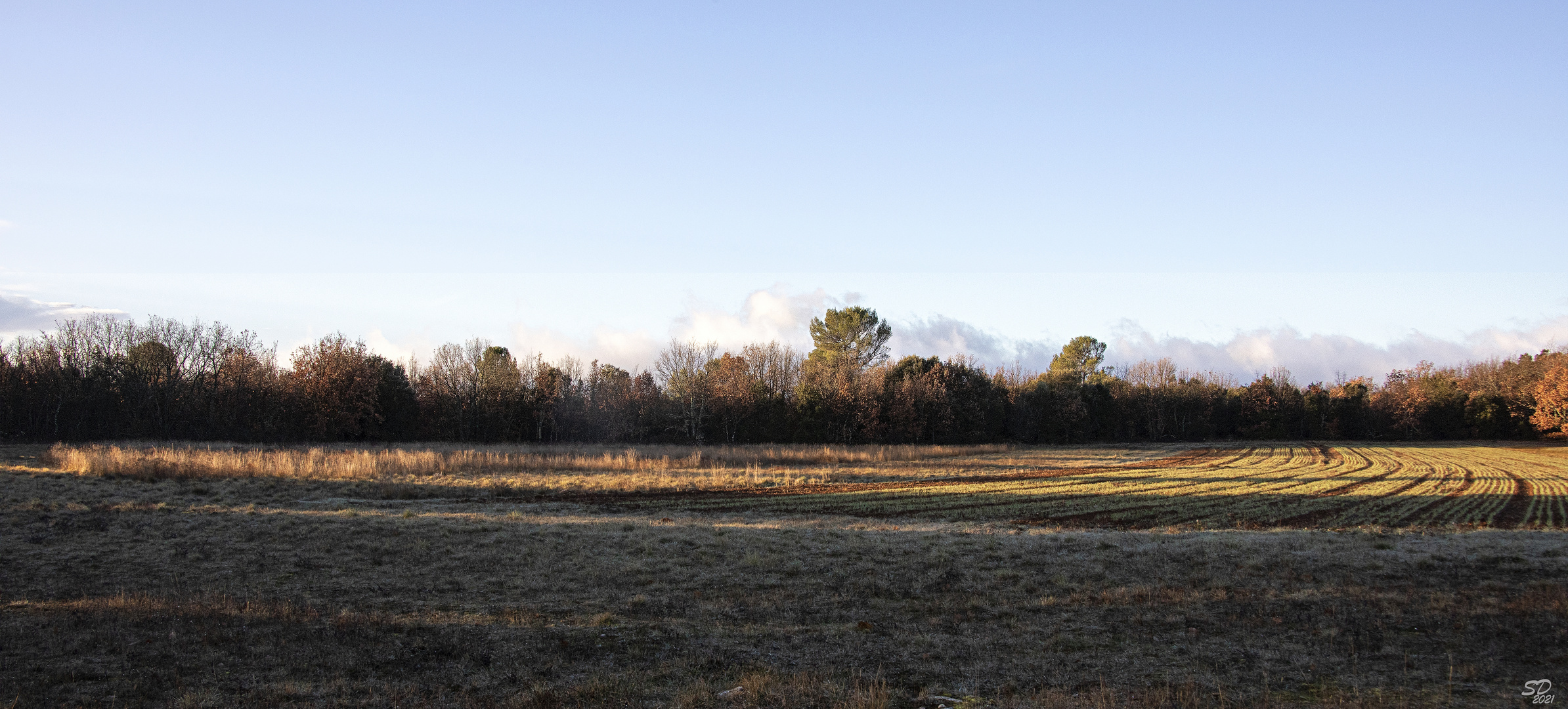 Couleurs d'hiver d'un matin tranquille (7)