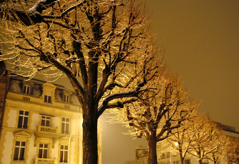 couleurs d'hiver en ville