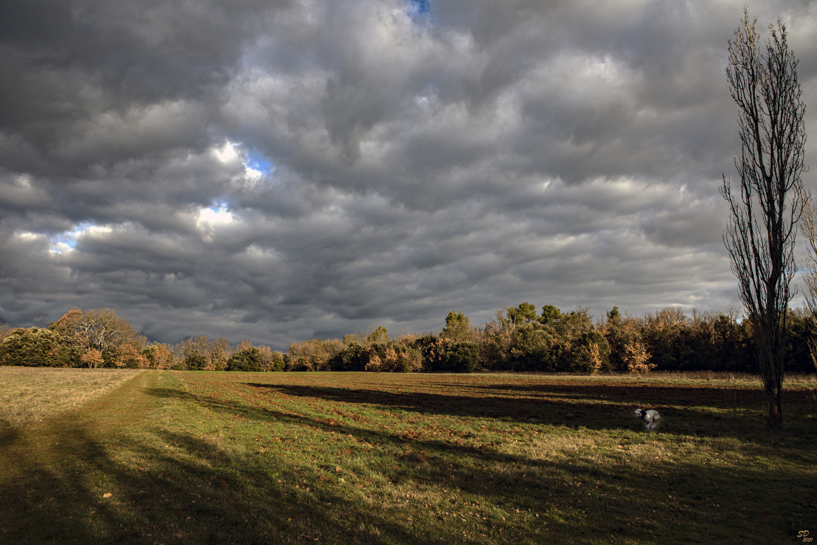 Couleurs d'hiver matinales( 9)