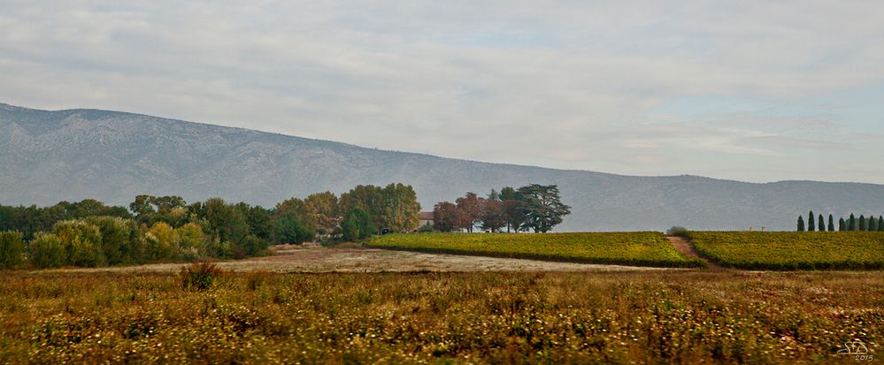 Couleurs d'octobre en Provence.