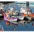 Couleurs d'octobre sur Concarneau .