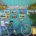 couleurs d'oleron