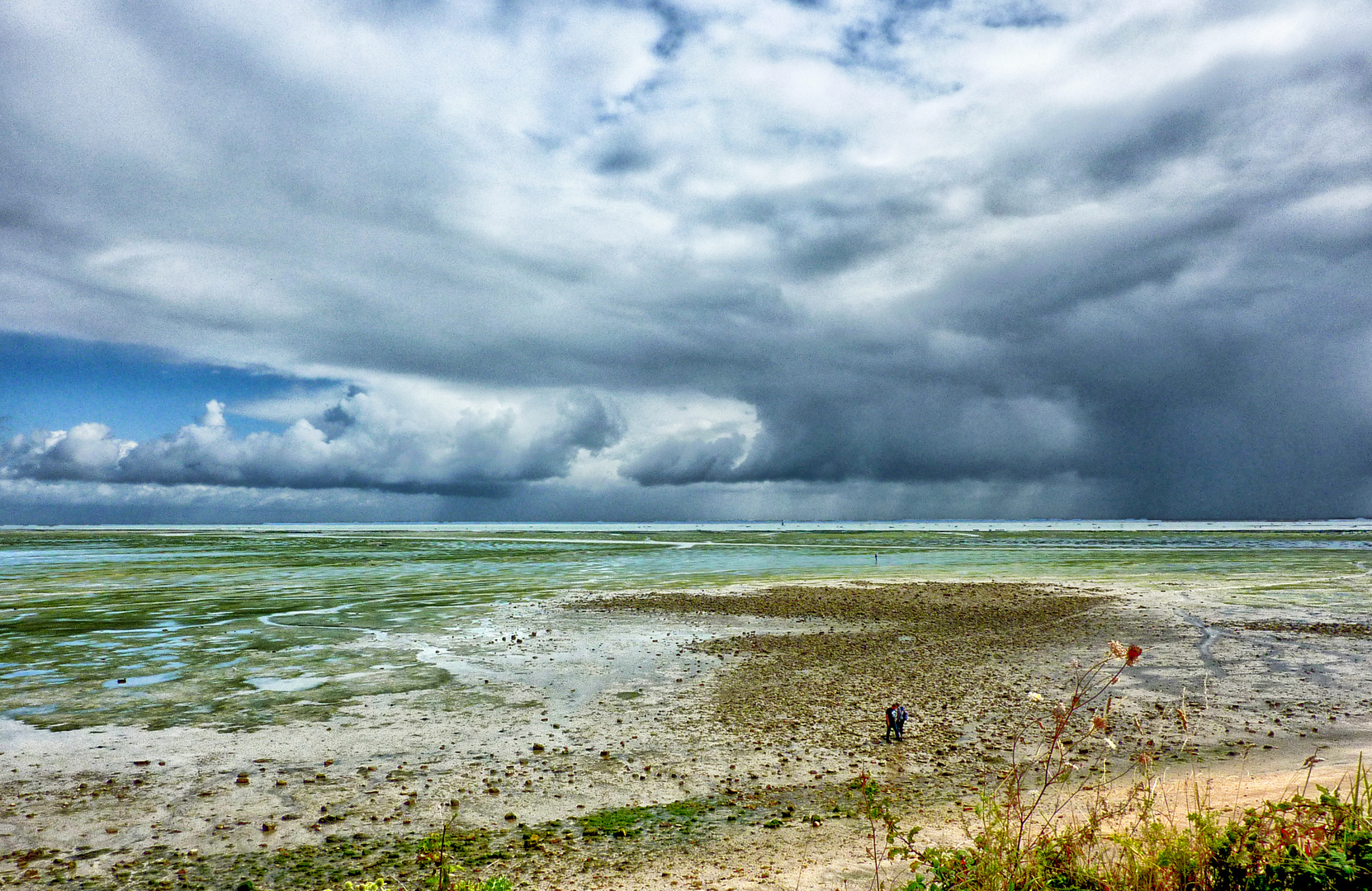 Couleurs d'Oléron