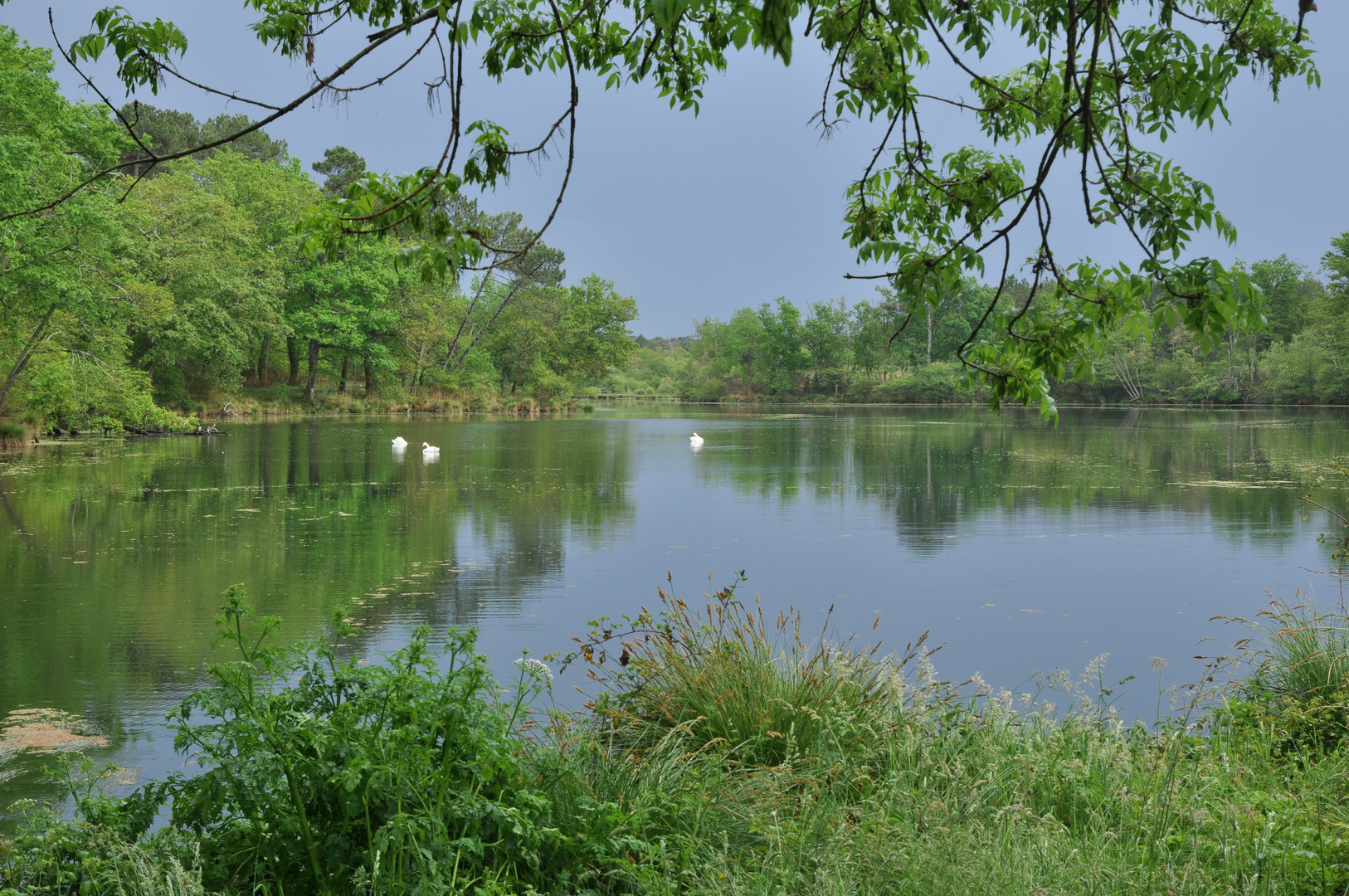 Couleurs d'orage sur le lac