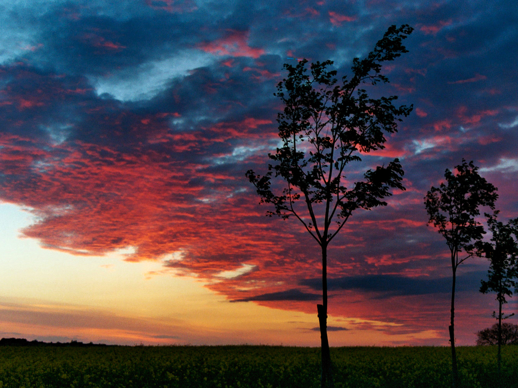 Couleurs du ciel