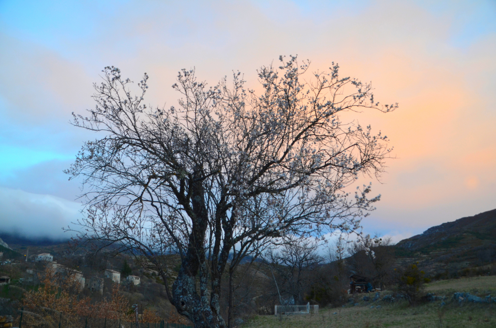 * couleurs du ciel *