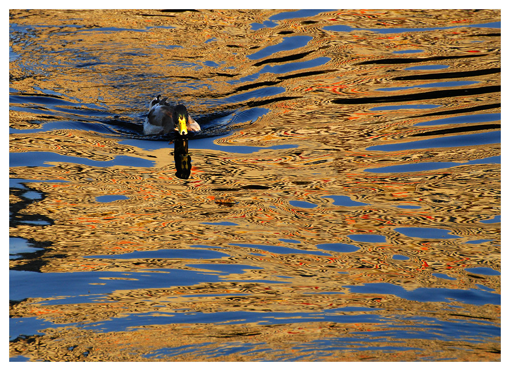 Couleurs du fleuve - Die Farben des Flusses