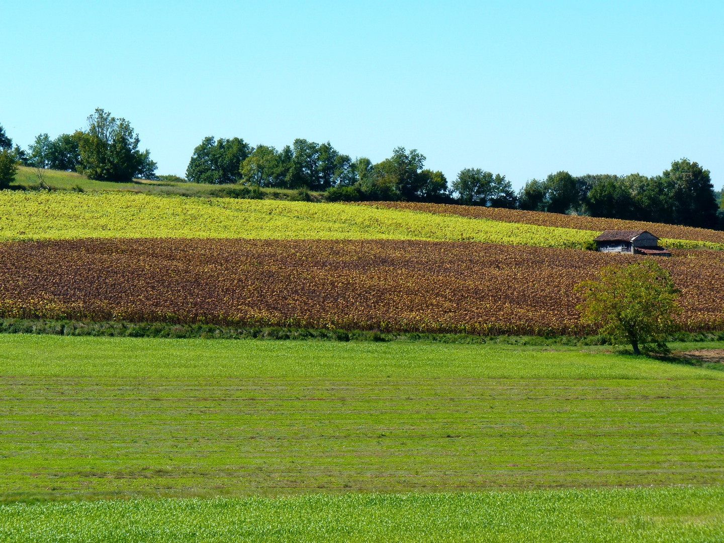 COULEURS - du - GERS