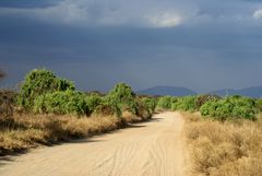 -COULEURS DU KENYA AU SAMBURU -