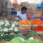 couleurs du marché