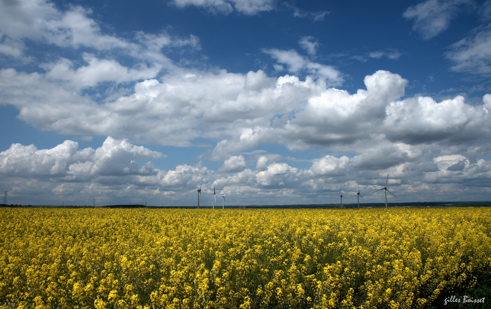 couleurs du printemps dans le Vexin normand