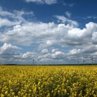 couleurs du printemps dans le Vexin normand