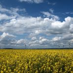 couleurs du printemps dans le Vexin normand