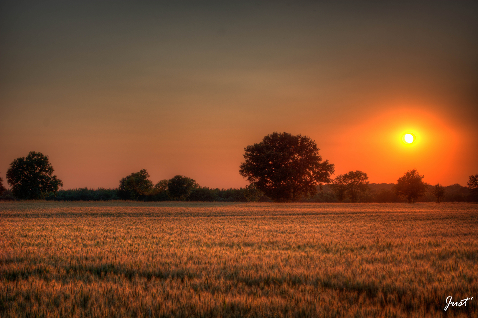 Couleurs du soir...