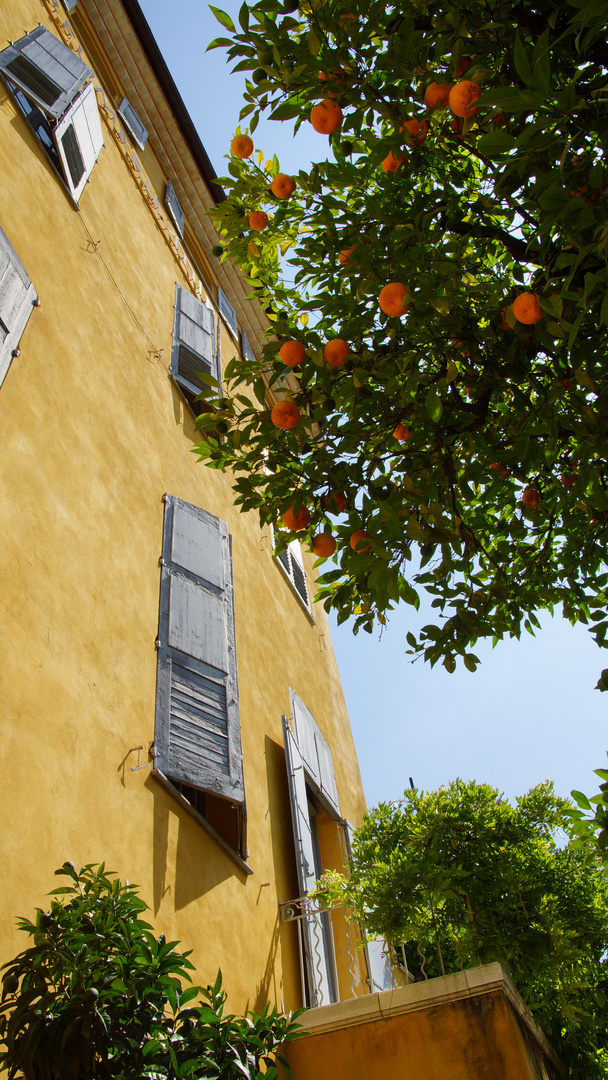 Couleurs du Sud