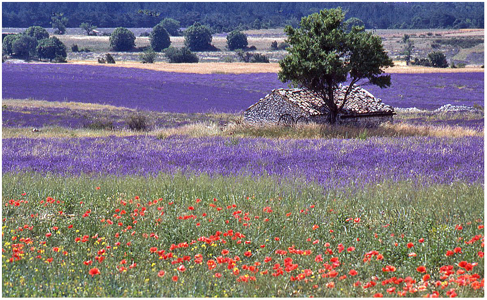 Couleurs du sud.