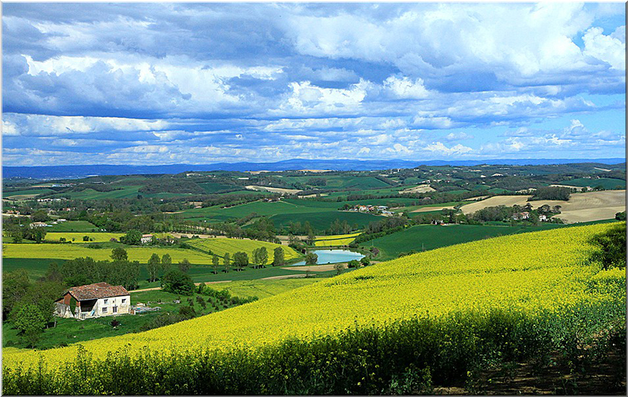 COULEURS DU TARN