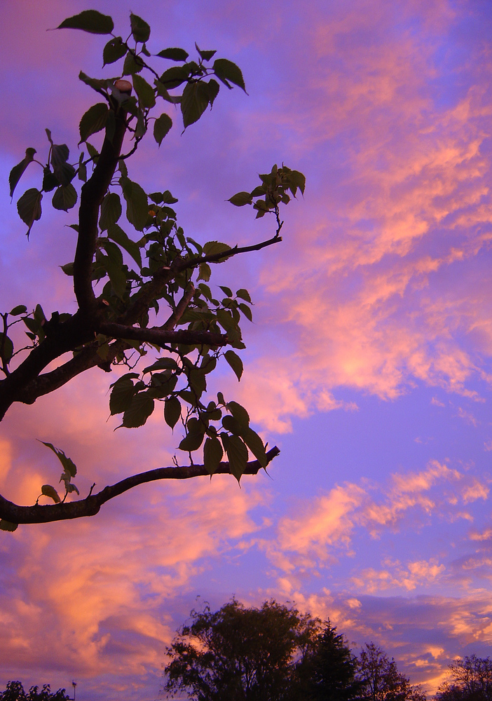 Couleurs d’un crépuscule -- Farben einer Dämmerung