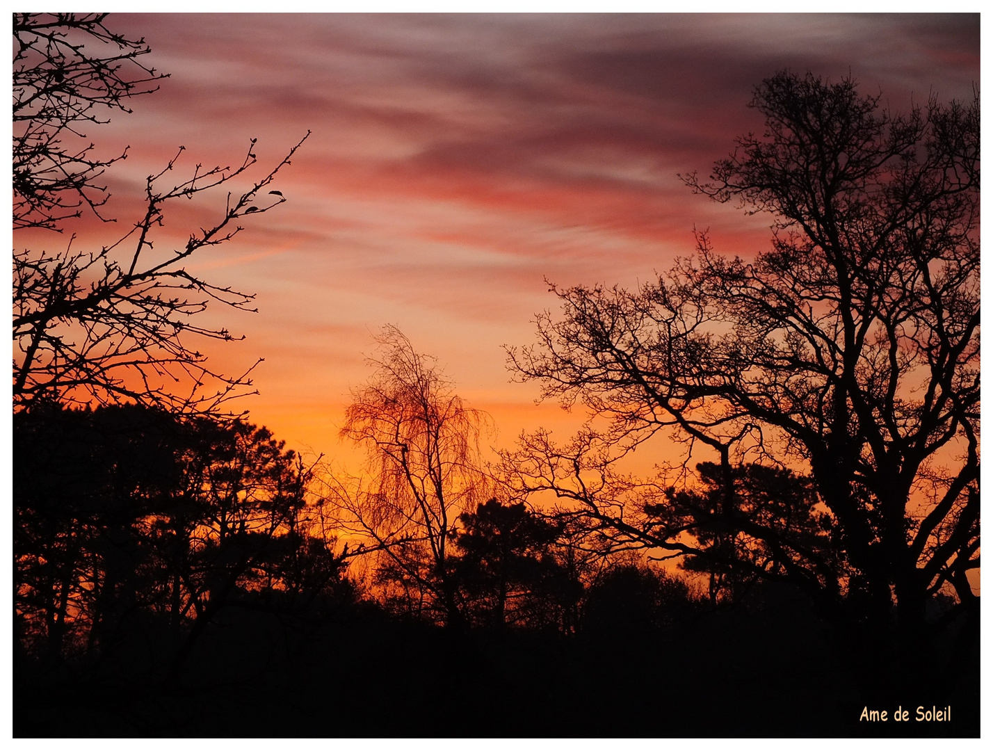 Couleurs d'un matin d'hiver...