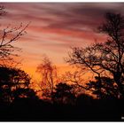 Couleurs d'un matin d'hiver...