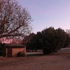 Couleurs d'un matin glacé.