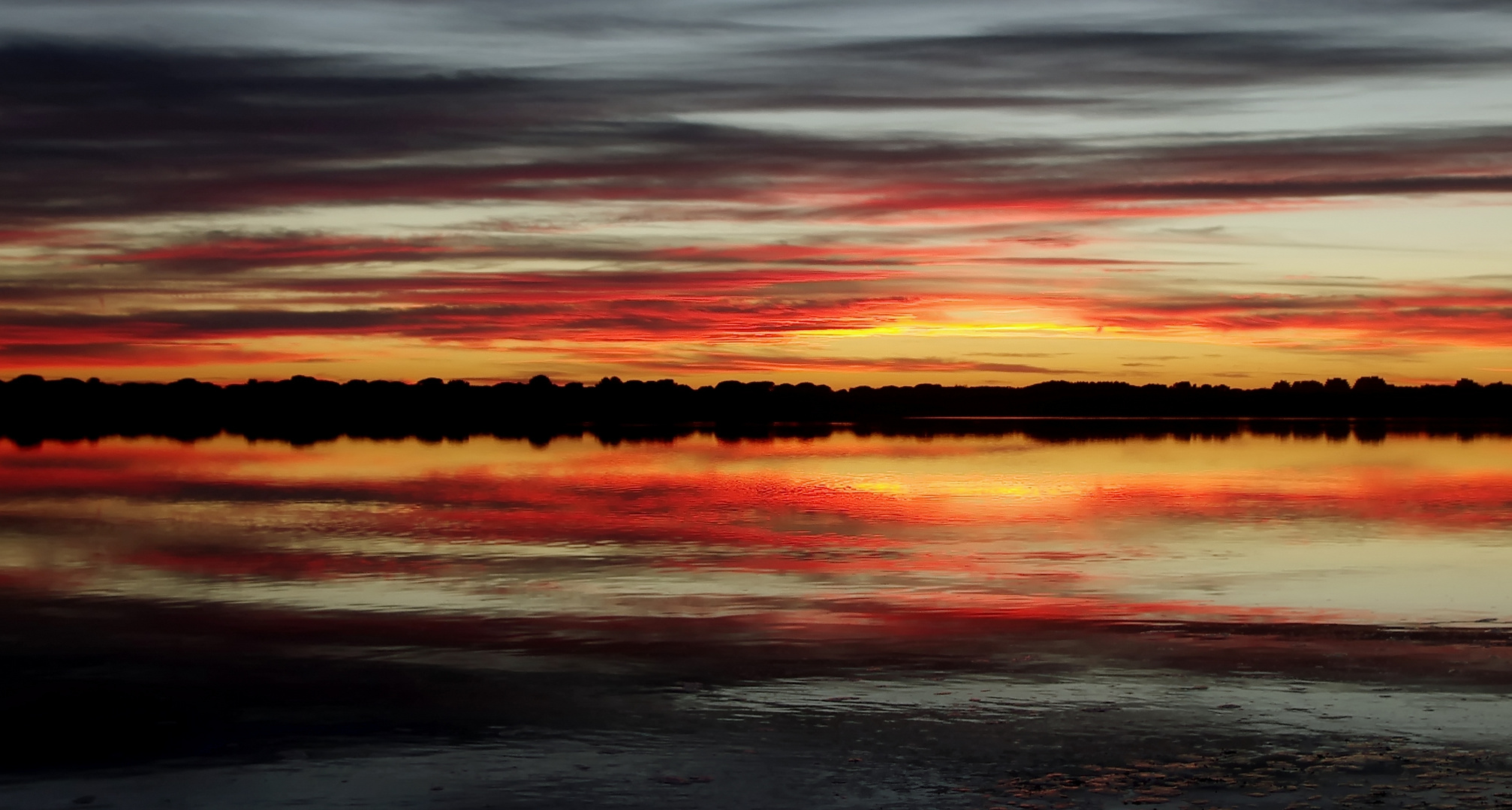 Couleurs en Camargue