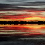 Couleurs en Camargue