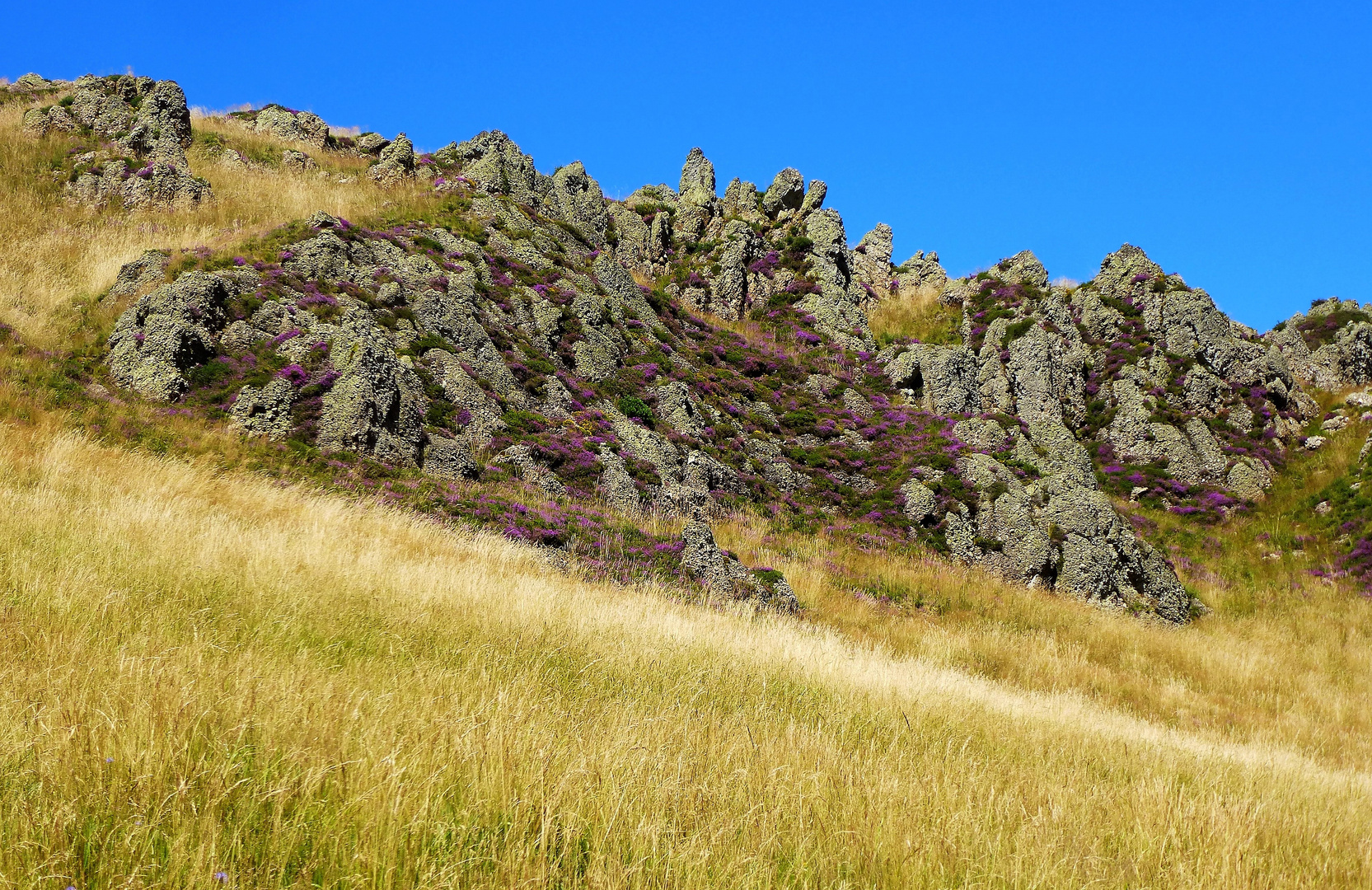 Couleurs et contrastes au Pays Basque