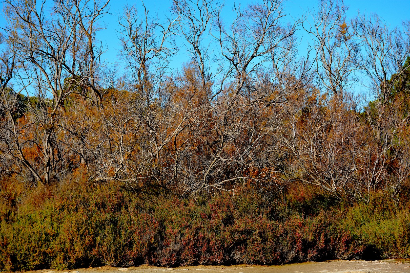 Couleurs et lumières d'automne