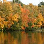 Couleurs et reflets.