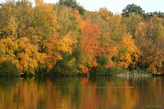 Couleurs et reflets.