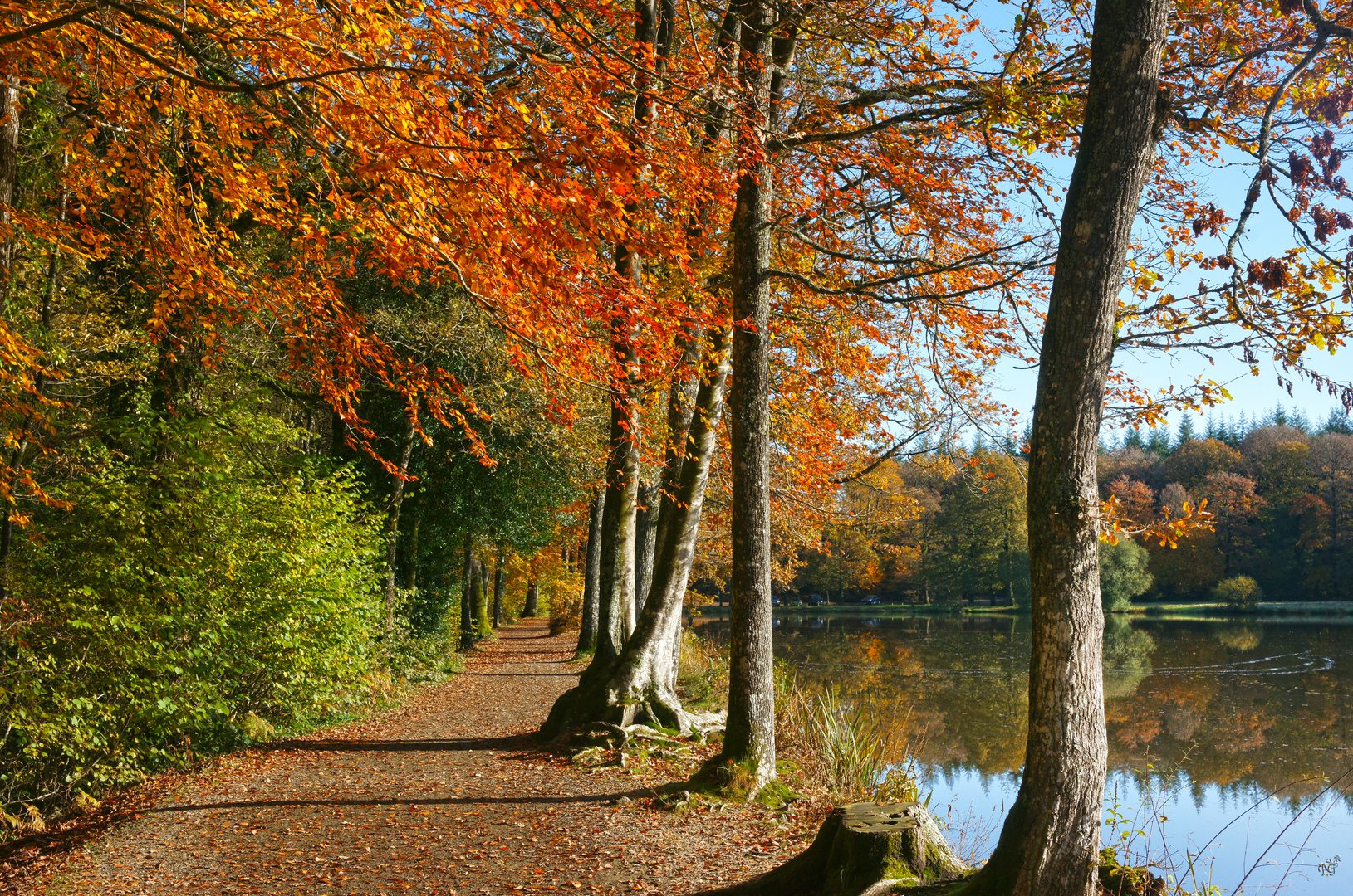 Couleurs et reflets d'automne