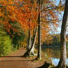 Couleurs et reflets d'automne