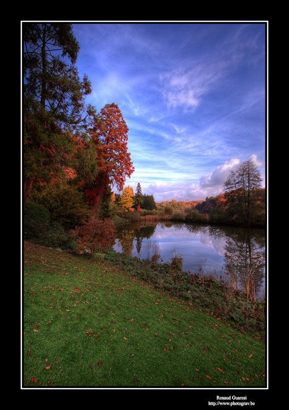 Couleurs et reflets del 'Automne